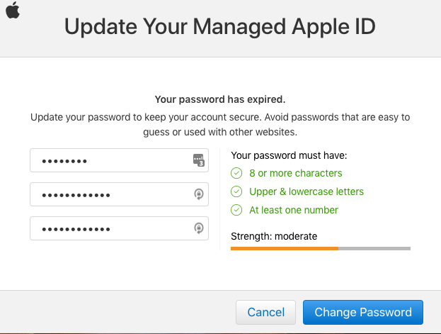 ipasssafe update password