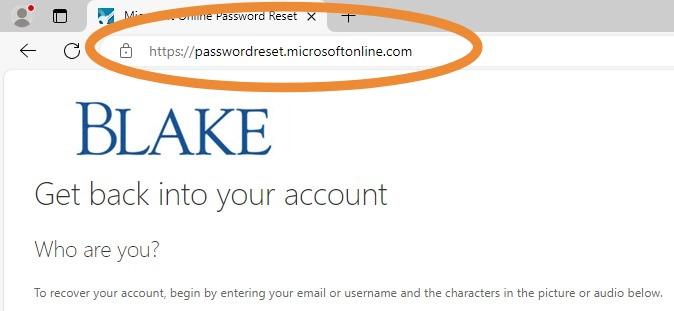 1. MS Online.jpeg