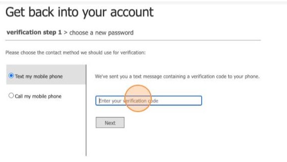 8. MS Online 8. Enter the verification code.jpg