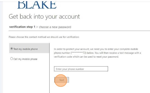 6. MS Online 6. Select the Text Button.jpg