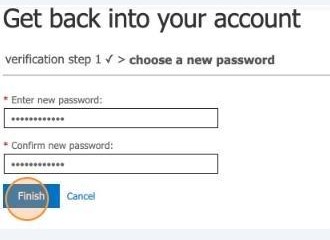 10. MS Online 10. Create a new password.jpg