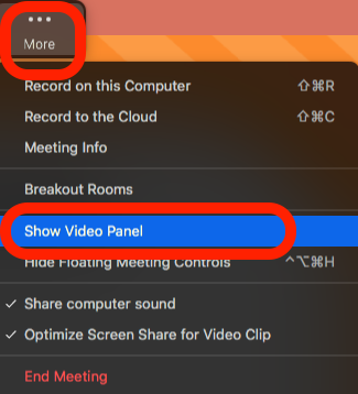 Show_Video_Panel_Share_Screen.png